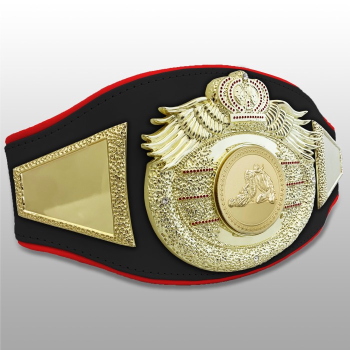 *NEW* PROICON JIU JITSU CHAMPIONSHIP BELT/G/JIUJITSUG - AVAILABLE IN 6+ COLOURS